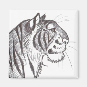 Beautiful Tiger drawing magnet