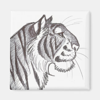 Beautiful Tiger drawing magnet