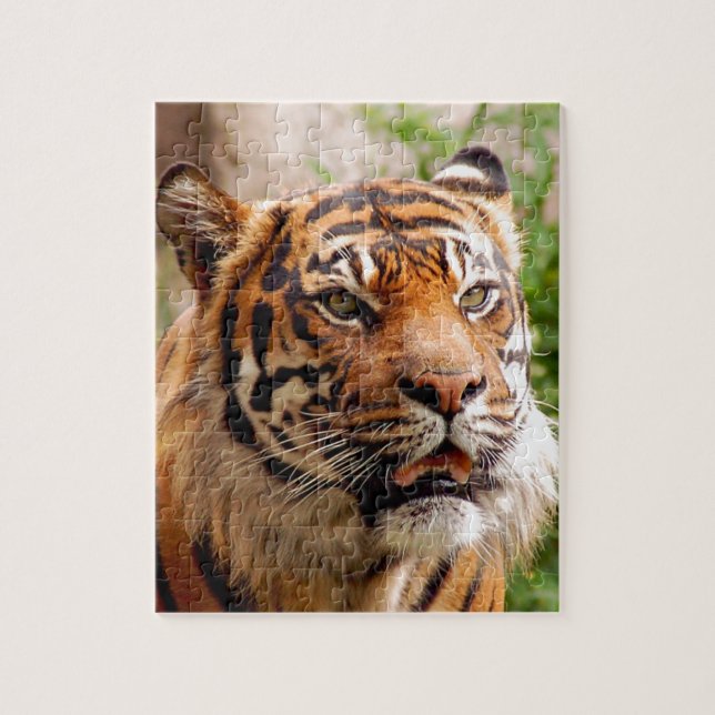 Beautiful tiger face jigsaw puzzle (Vertical)