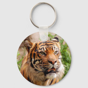Beautiful tiger face key ring