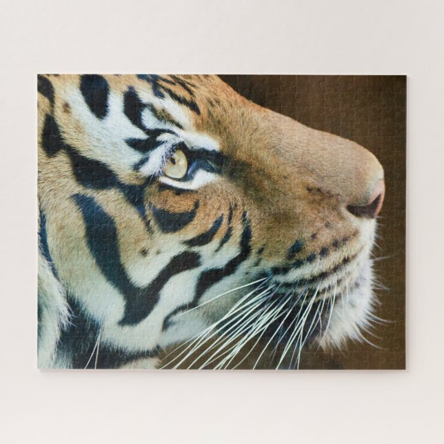Beautiful Tiger Face Photo Jigsaw Puzzle (Horizontal)