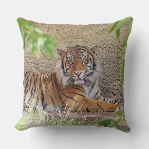 Beautiful Tiger Pillow! Cushion