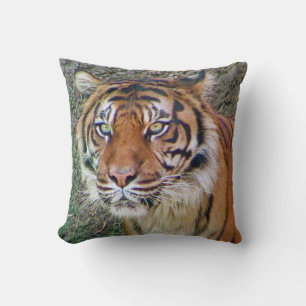 Beautiful Tiger Pillow! Cushion