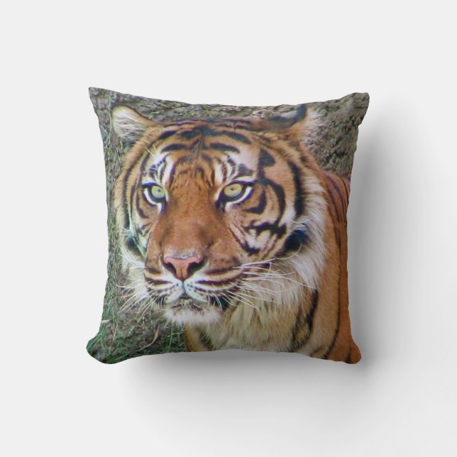 Beautiful Tiger Pillow! Cushion (Front)