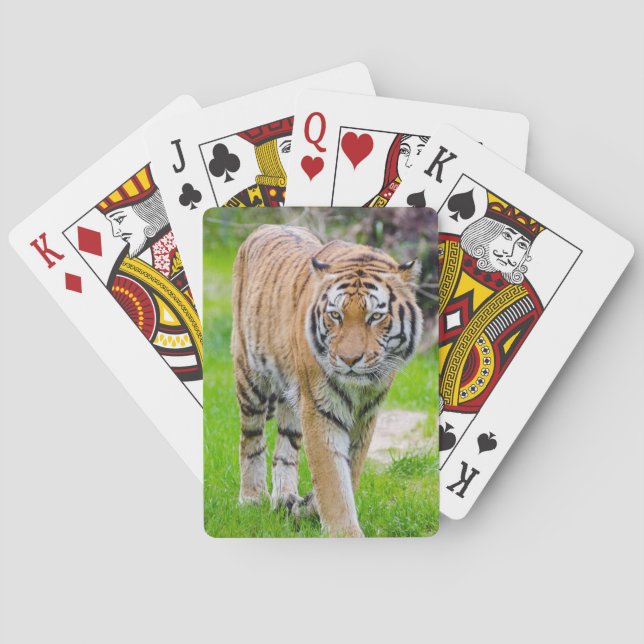 Beautiful Tiger Playing Cards (Back)