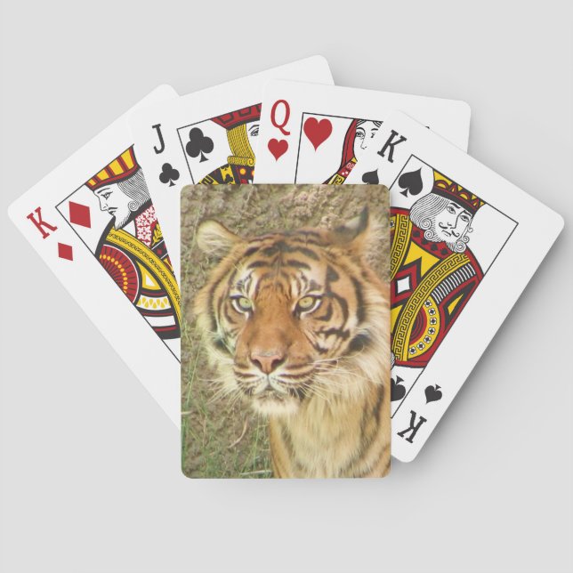 Beautiful Tiger Playing Cards! Cards (Back)