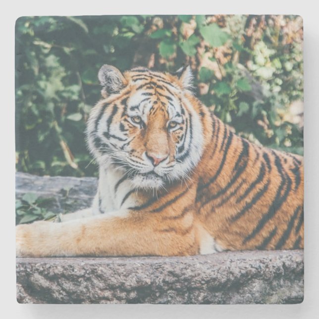 Beautiful Tiger Stone Coaster (Front)