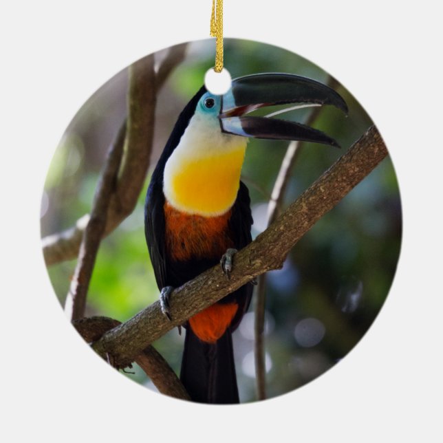 Beautiful toucan bird in a tree nature scenery ceramic ornament (Back)