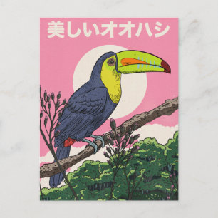 Beautiful Toucan Bird Postcard