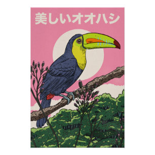 Beautiful Toucan Bird Poster