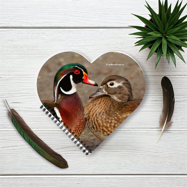 Beautiful Touching Moment Between Wood Ducks Notebook (A Touching Moment Between Wood Ducks Journal Cover Photo)