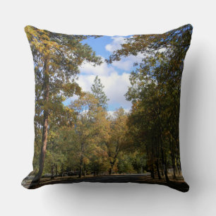 Beautiful town... cushion