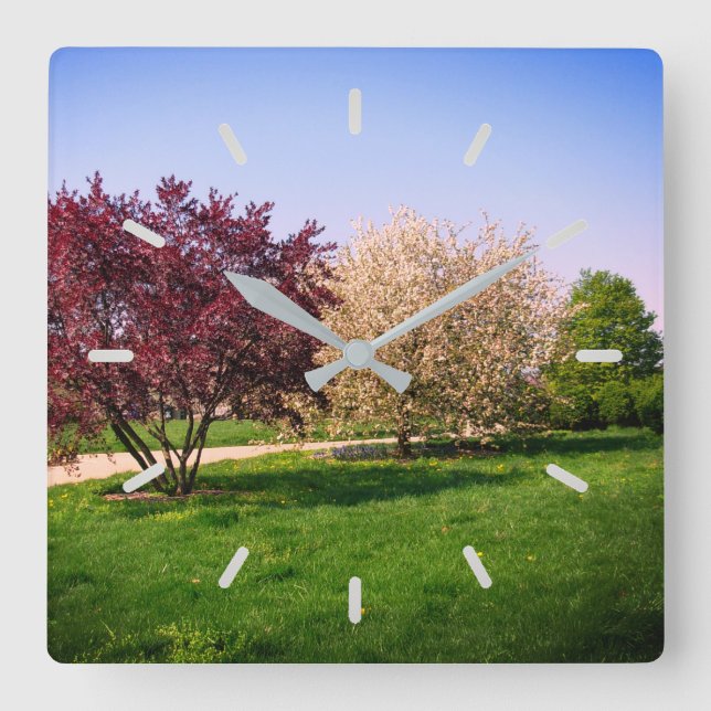 Beautiful Tree Landscape Square Wall Clock (Front)