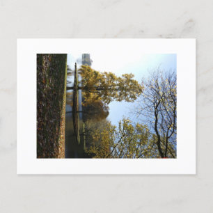 Beautiful Tree Postcard