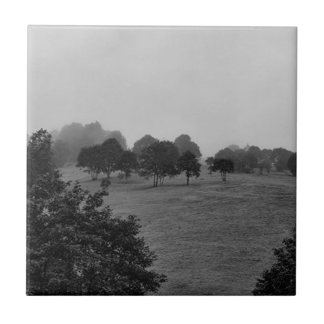 Beautiful trees and nature in fog ceramic tile (Front)