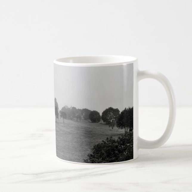 Beautiful trees and nature in fog coffee mug (Right)