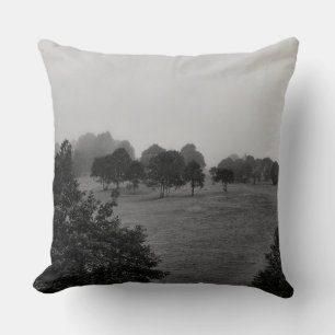 Beautiful trees and nature in fog cushion