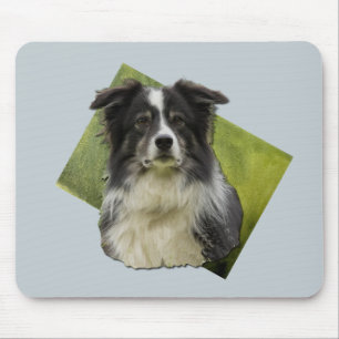 Beautiful Tri Coloured Border Collie on Green Art  Mouse Pad