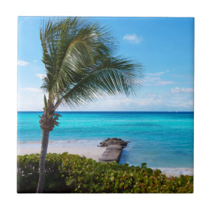 Beautiful Tropical Beach Breezy Palm Tree Ceramic Tile