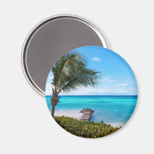 Beautiful Tropical Beach Breezy Palm Tree Magnet