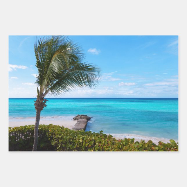 Beautiful Tropical Beach Breezy Palm Tree Wrapping Paper Sheet (Front)