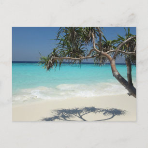  Beautiful Tropical Beach Ocean Paradise Postcard