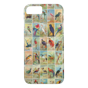 Beautiful Tropical Birds 19th-century Illustration iPhone 8/7 Case