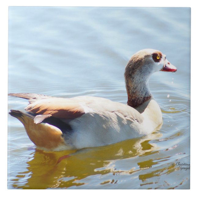 Beautiful tropical duck Tile (Front)
