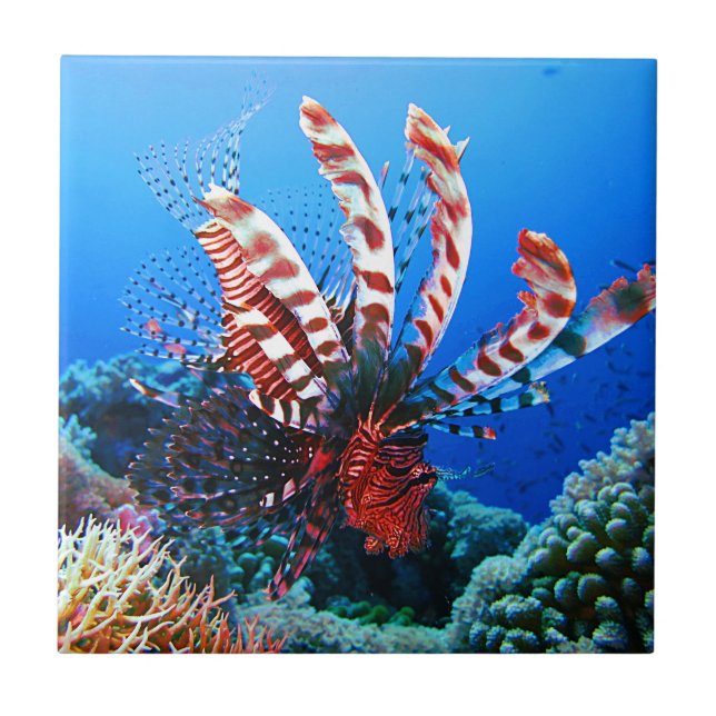 Beautiful Tropical Lionfish Ceramic Tile (Front)