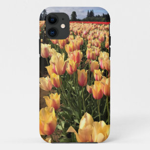 Beautiful Tulip Field, Oregon iPhone 11 Case