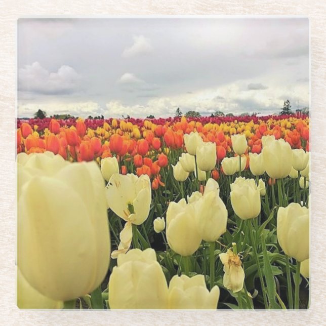 Beautiful Tulip Field, Oregon Glass Coaster (Front)