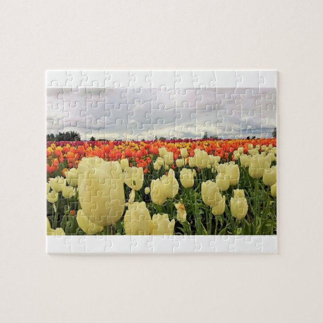 Beautiful Tulip Field, Oregon Jigsaw Puzzle (Horizontal)