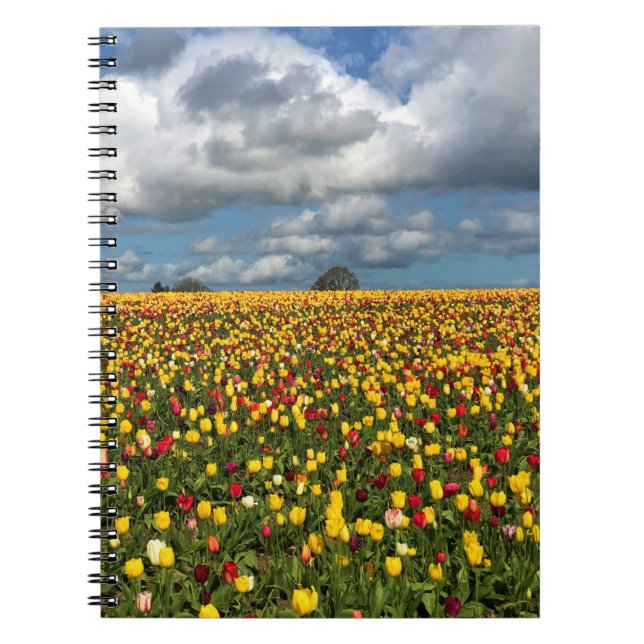 Beautiful Tulip Field, Oregon Notebook (Front)