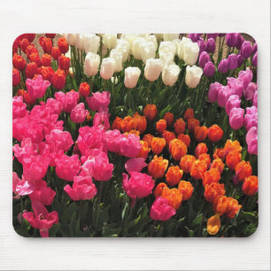 Beautiful Tulip Garden Bed, Oregon Mouse Pad