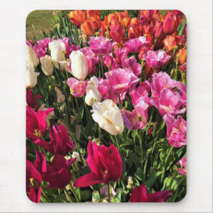 Beautiful Tulip Garden Bed, Oregon Mouse Pad