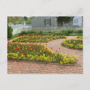 Beautiful tulip garden Colonial Williamsburg Postcard
