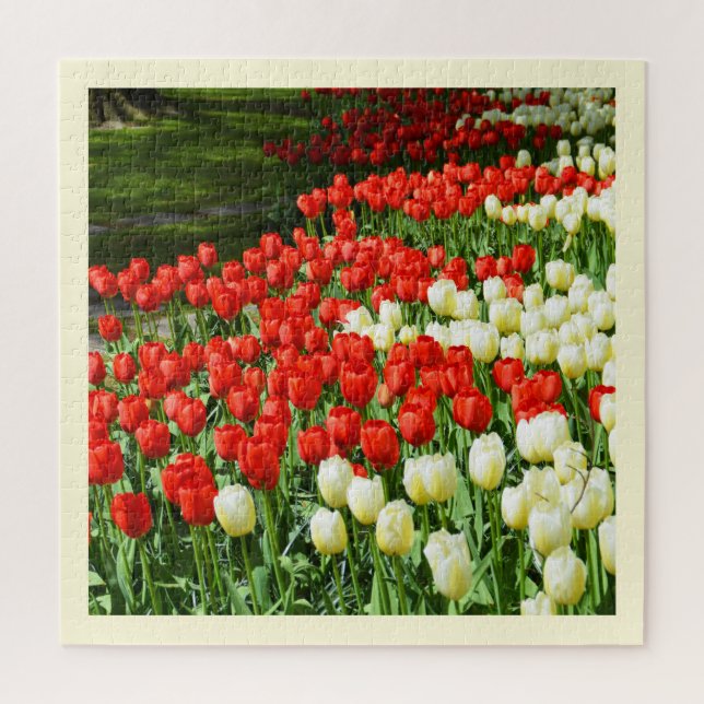 Beautiful tulips jigsaw puzzle (Vertical)