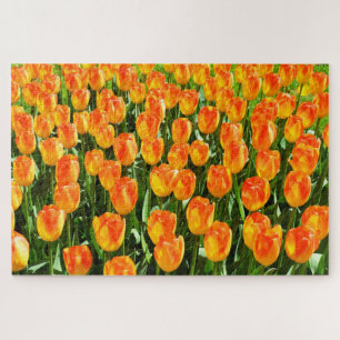 Beautiful tulips jigsaw puzzle