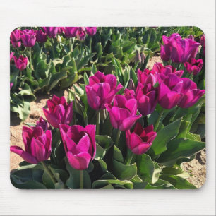 Beautiful Tulips Mouse Pad