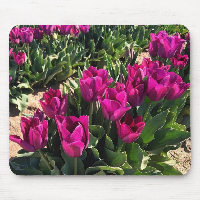 Beautiful Tulips Mouse Pad (Front)
