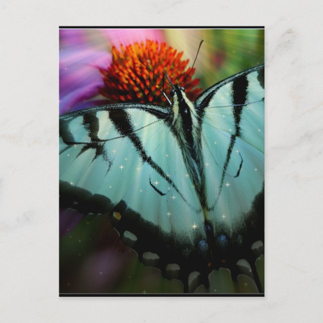 Beautiful Turquoise Swallowtail Butterfly Postcard (Front)