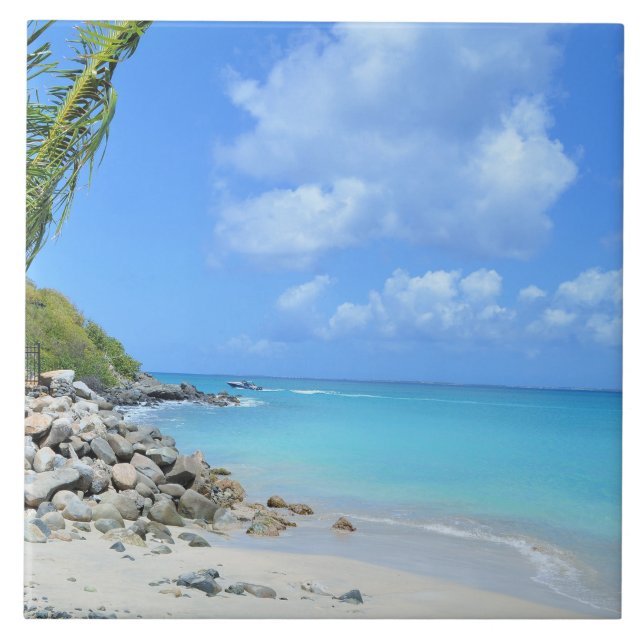 Beautiful Turquoise Tropical Beach Ceramic Tile (Front)