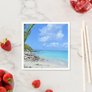 Beautiful Turquoise Tropical Beach Napkin