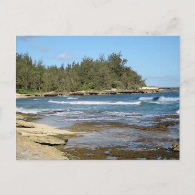 Beautiful Turtle Bay Ocean Beach Oahu Hawaii Postcard (Front)