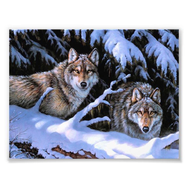 Beautiful Two Wolves Paintings Photo Print (Front)