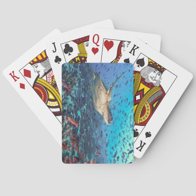 Beautiful Underwater Scenery Deck of Playing Cards (Back)