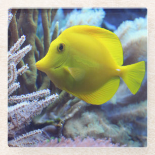 Beautiful Underwater Yellow Tang Fish and Coral Glass Coaster