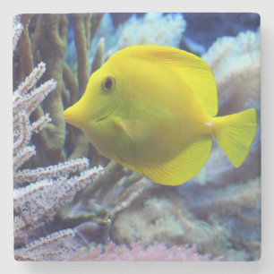 Beautiful Underwater Yellow Tang Fish and Coral Stone Coaster