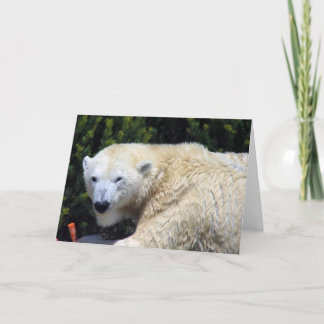 Beautiful Unique Polar Bear Custom Card