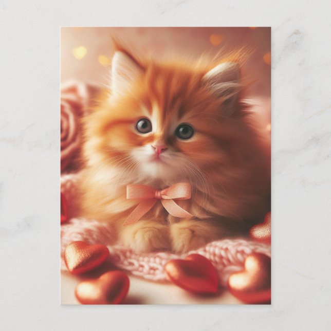 Beautiful Valentine Kitten Postcard (Front)